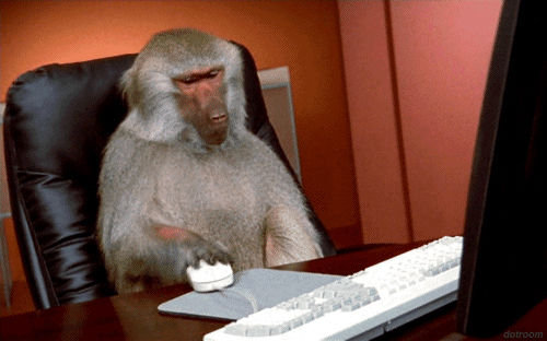 Monkey clicking on mouse showing the consequences of not aligning your crm